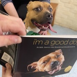 Entry image for Rhino 