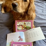 Entry image for Graham