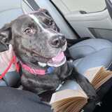 Entry image for Peggy