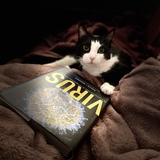 Entry image for Pierre