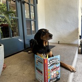 Entry image for Sula