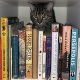 Entry image for Cece