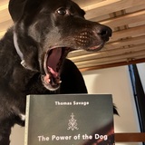 Entry image for Eero