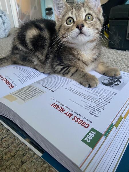 Entry image for Fred Astaire . Clicking this image will show a larger photo