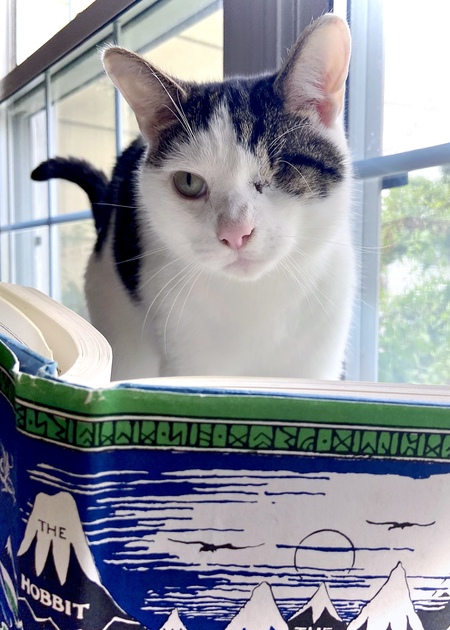 Entry image for Le Chiffre. Clicking this image will show a larger photo