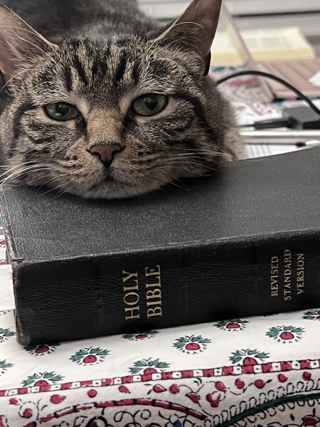 Entry image for Linus. Clicking this image will show a larger photo