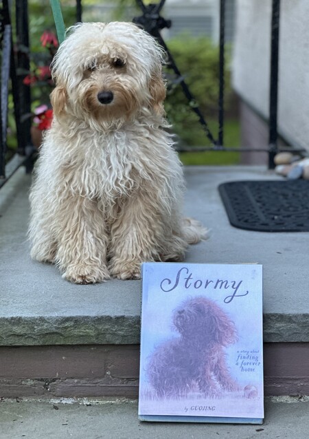 Entry image for Toffy. Clicking this image will show a larger photo