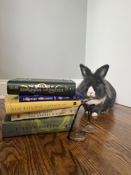 Entry image for Louis. Clicking this image will show a larger photo