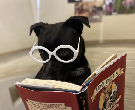 Entry image for Wanda . Clicking this image will show a larger photo