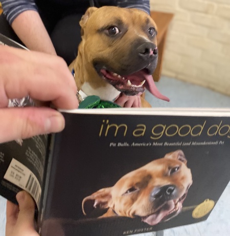 Entry image for Rhino . Clicking this image will show a larger photo