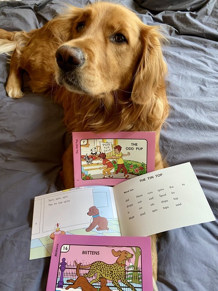 Entry image for Graham. Clicking this image will show a larger photo