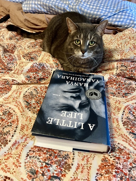 Entry image for Pebbles. Clicking this image will show a larger photo