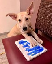 Entry image for Reed. Clicking this image will show a larger photo