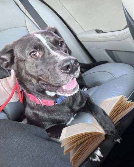 Entry image for Peggy. Clicking this image will show a larger photo