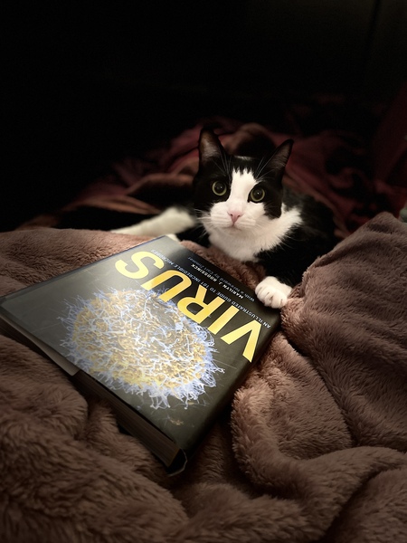 Entry image for Pierre. Clicking this image will show a larger photo