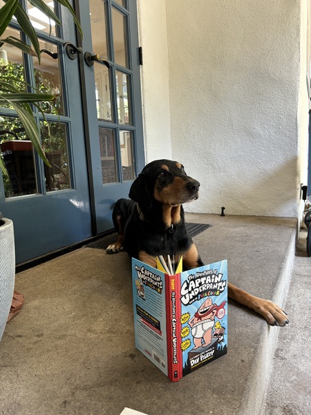 Entry image for Sula. Clicking this image will show a larger photo