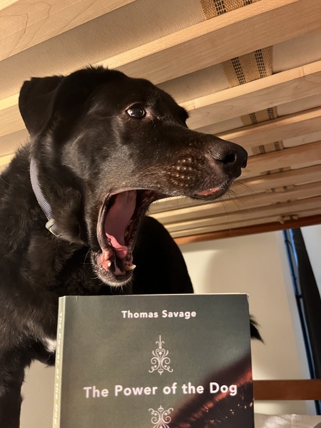 Entry image for Eero. Clicking this image will show a larger photo