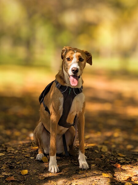Maggie 