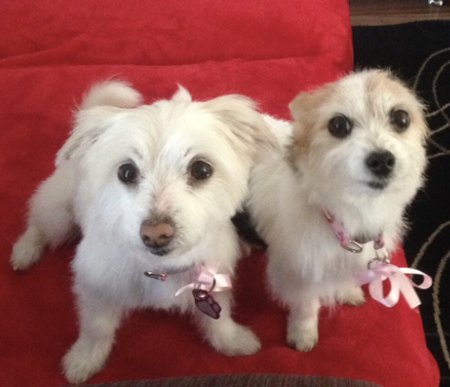 Lila and Daisy