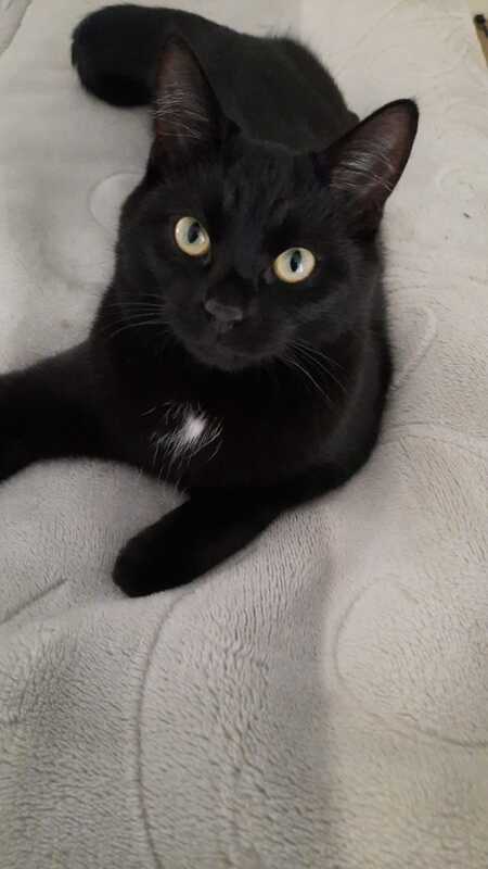 Salem