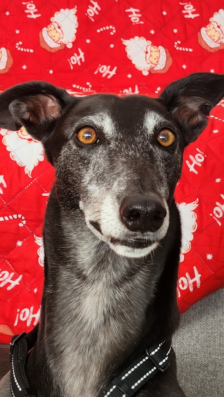 Maggie