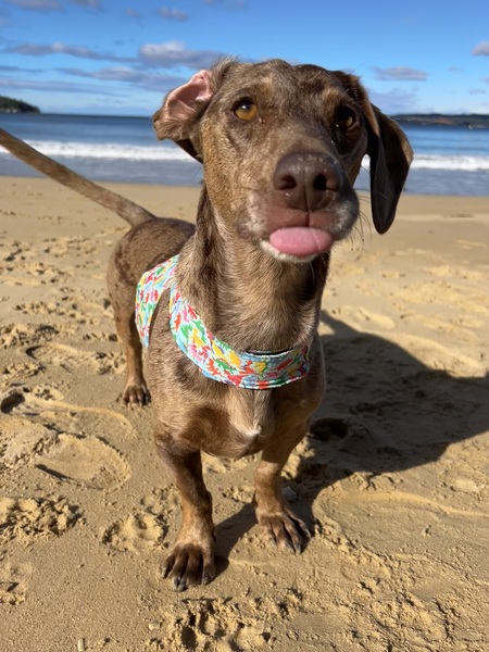 Otis