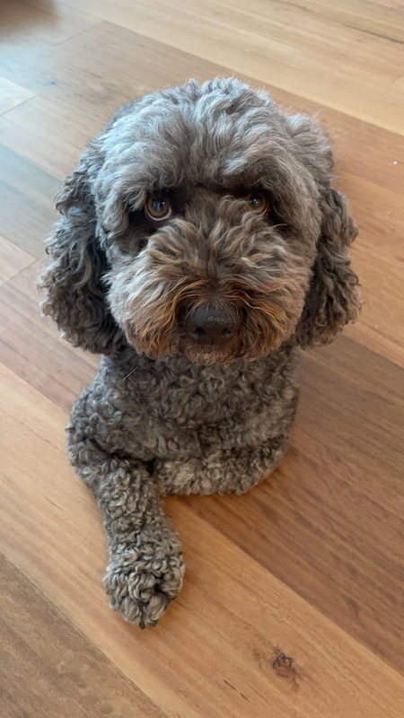 Ted