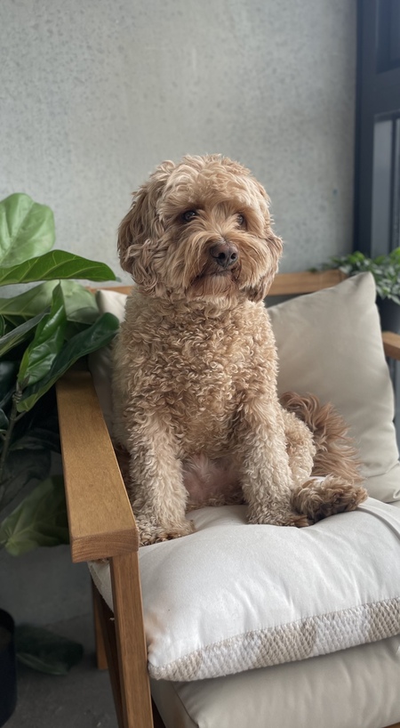 Archie