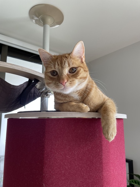 Benny