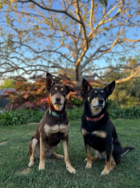 Ruby and Luna