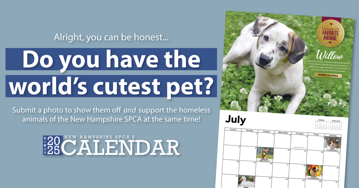 New Hampshire SPCA The 2025 NHSPCA Calendar Contest