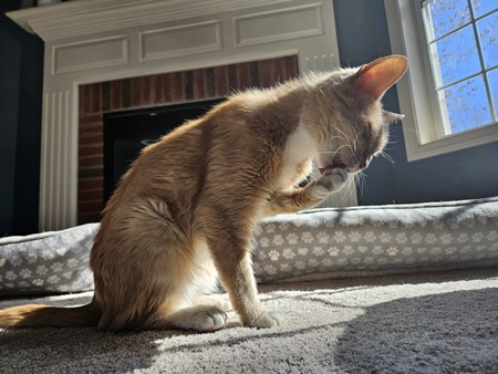 Sawyer
