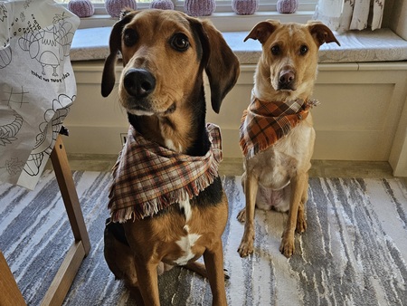 Lily and Holly