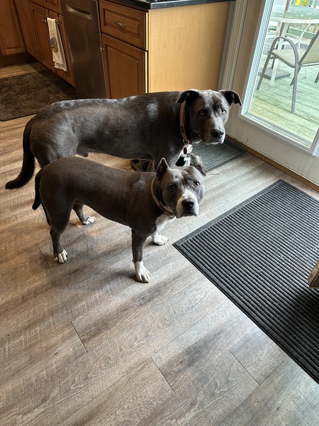Drax and Miss Georgia