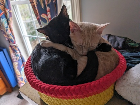 Bruce and Pippin