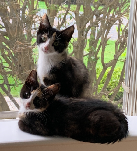 Rose & Poppy (fka Sadie & Millie)