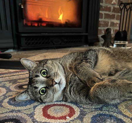 Molly