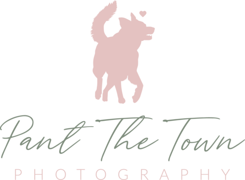 Pant the Town Photography