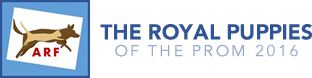 Logo for The Royal Puppies of the Prom (2016)