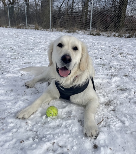 Snow Day!