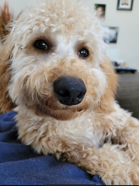 Happy Boy