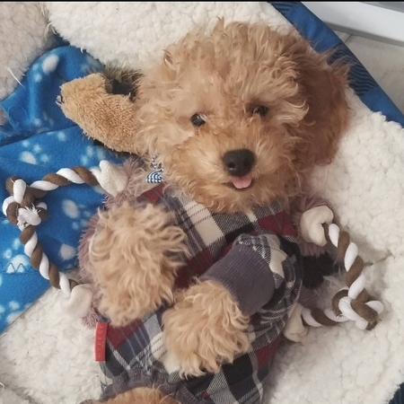 Baby Andrew