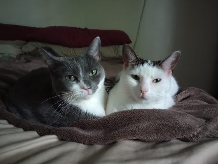 Sisters!