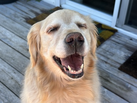 Sweet Sun Baby!