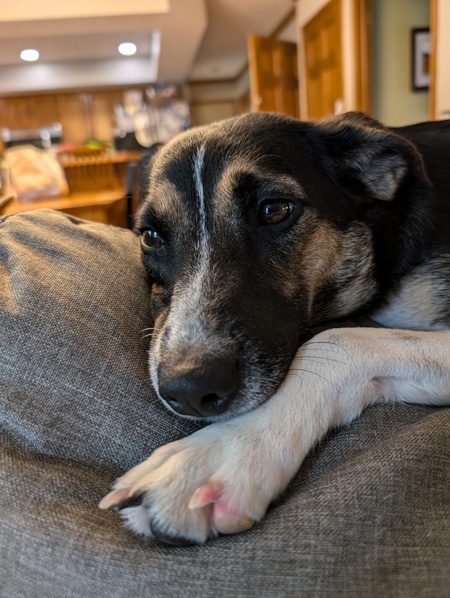 Marvelous Moxie