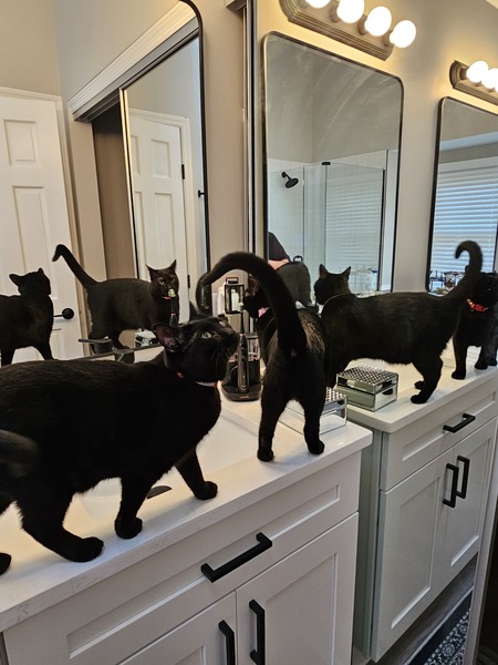 Mirror Mirror