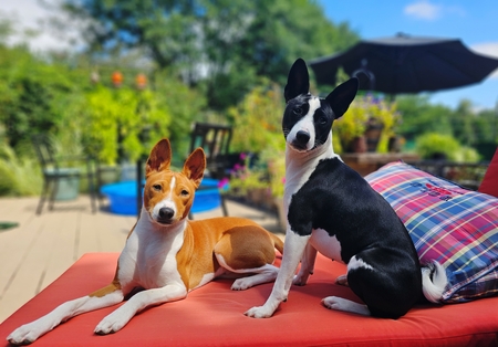 Summer Fun