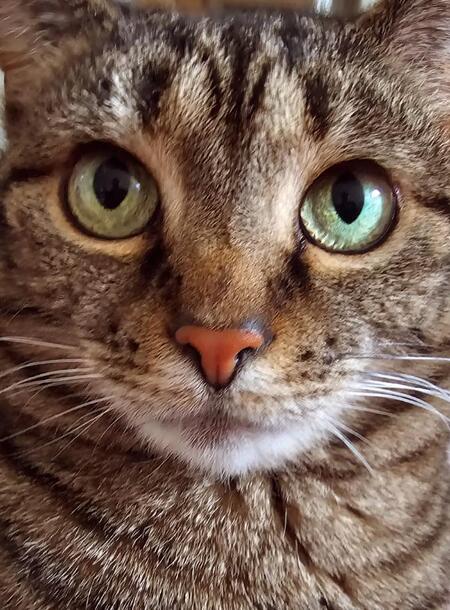 Ready For My Close-Up!