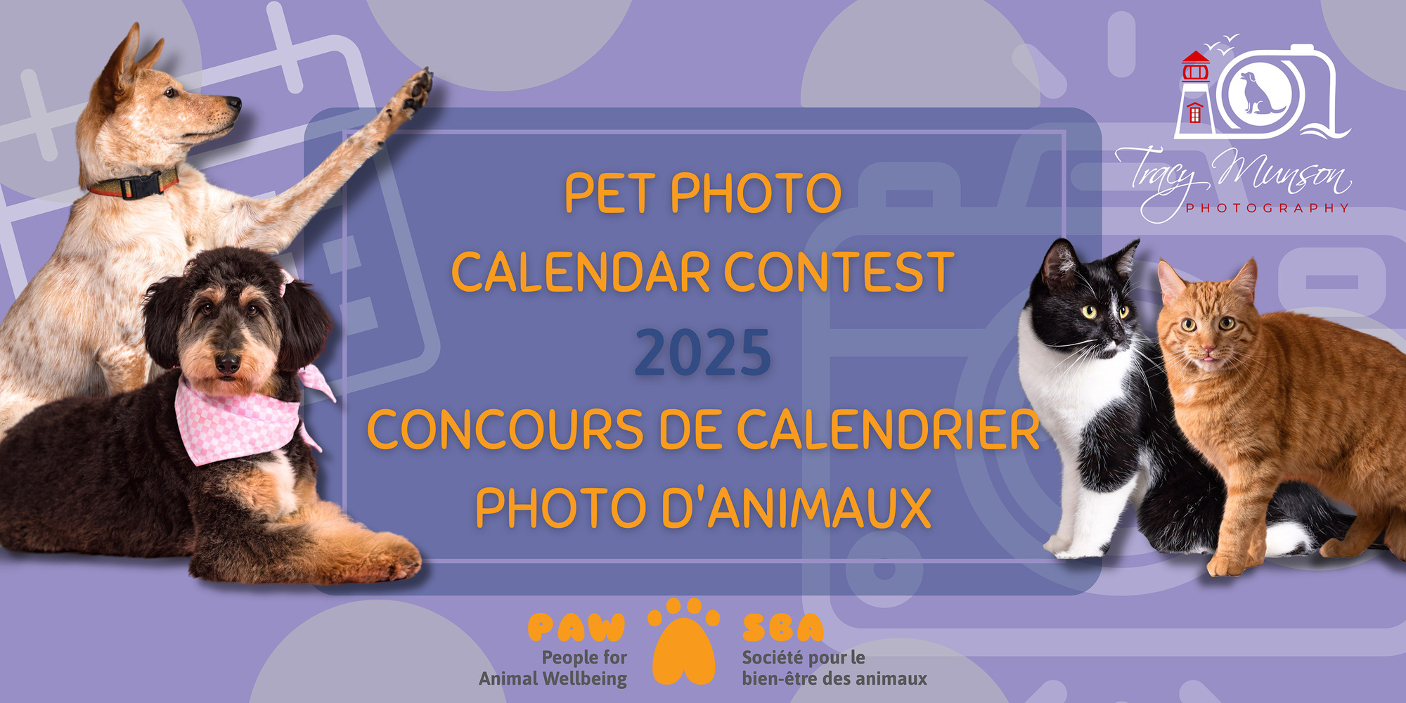 People for Animal Wellbeing 2025 Pet Photo Calendar Contest/ Concours