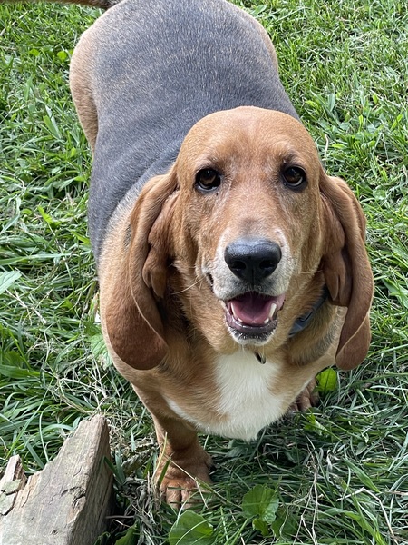 Fiona